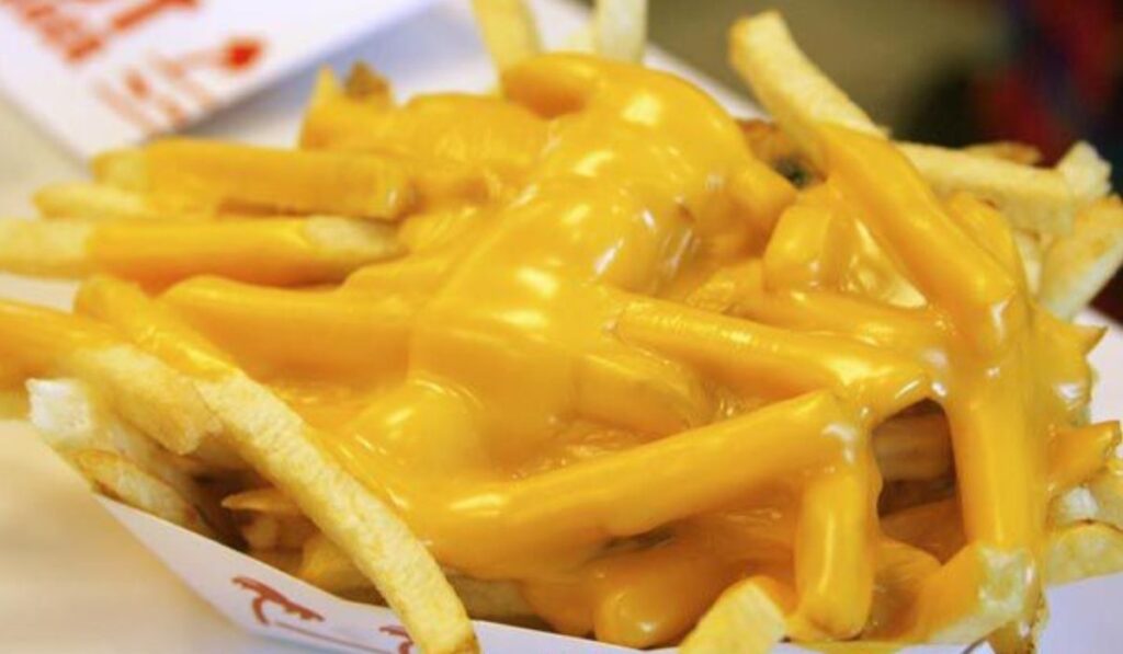 In N Out Cheese Fries
